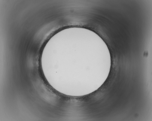 X0000113130632200909040933