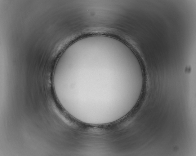 X0000113130633200909040934