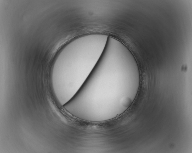 X0000113130634200909040934