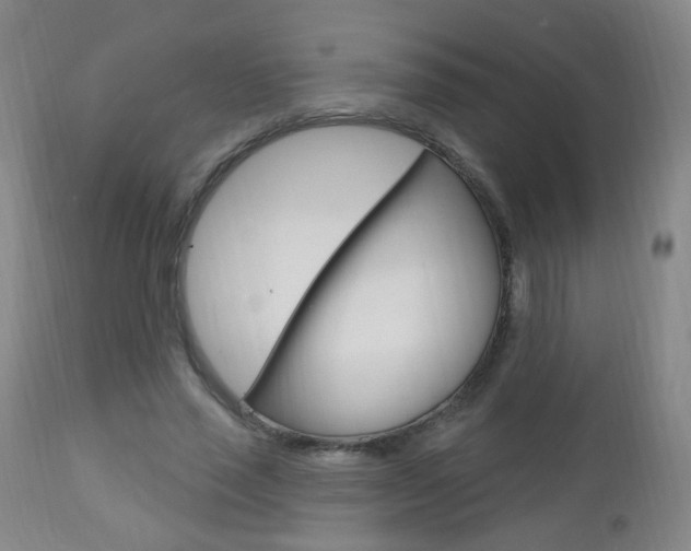 X0000113130637200909040934