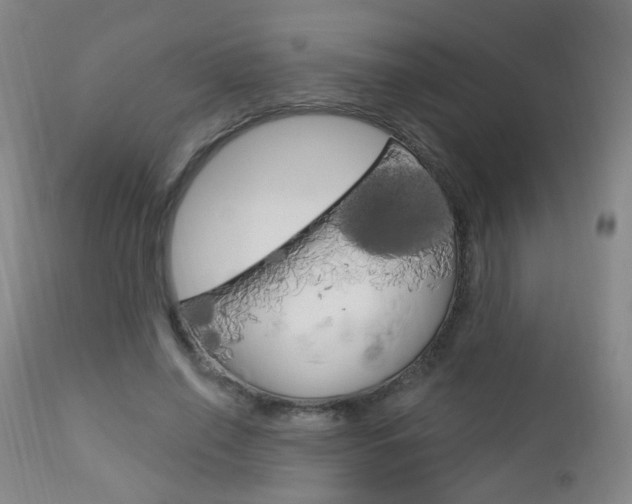 X0000113130638200909040934