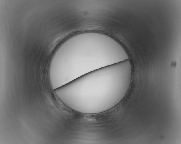 X0000113130640200909040934
