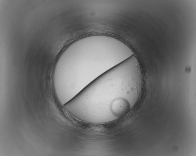X0000113130642200909040934