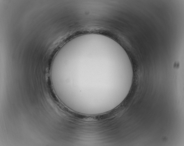 X0000113130644200909040934
