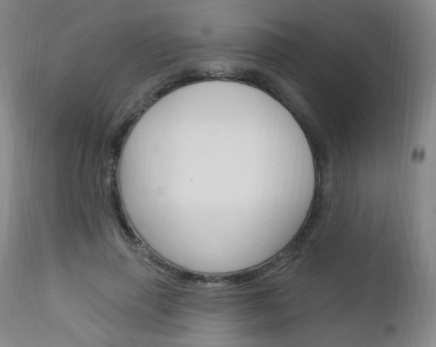 X0000113130645200909040934
