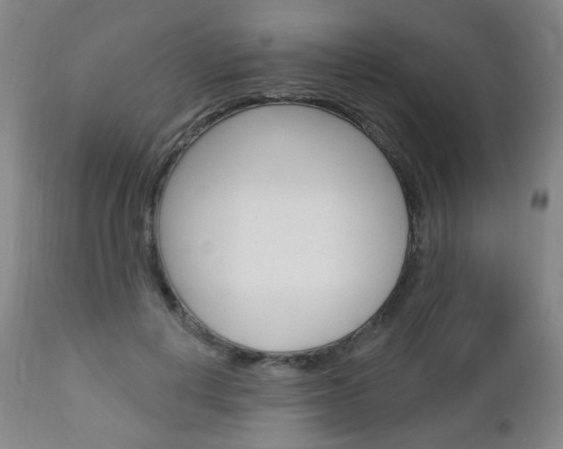 X0000113130648200909040934