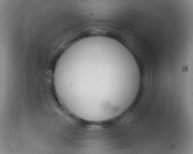 X0000113130649200909040934