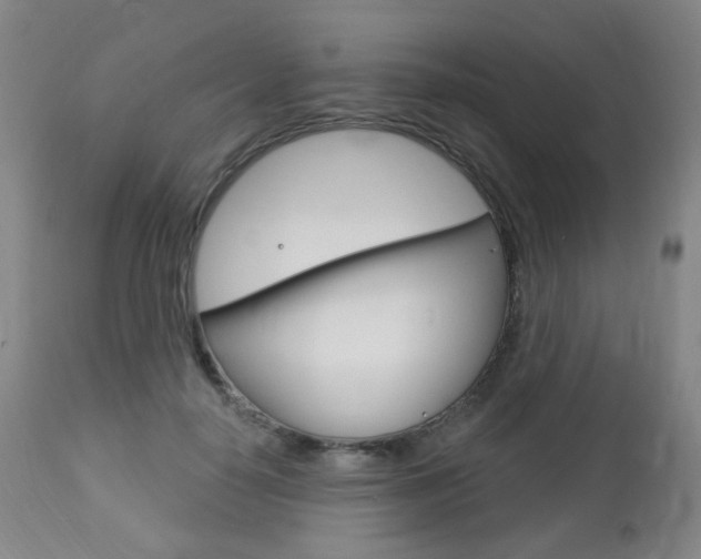 X0000113130650200909040934
