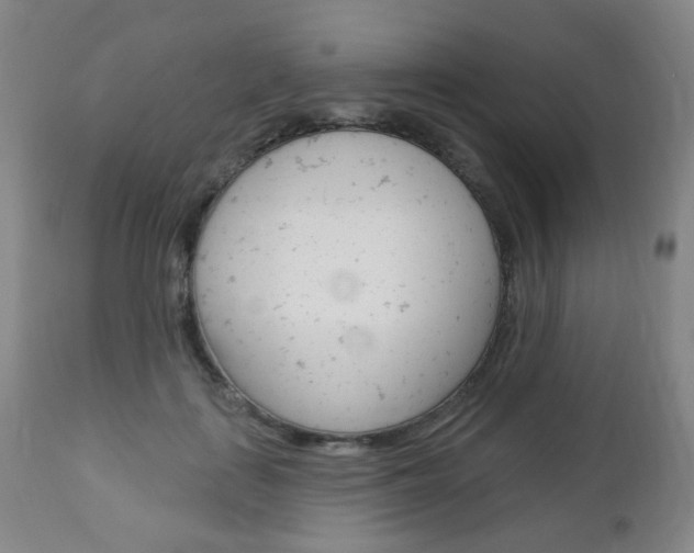X0000113130651200909040934