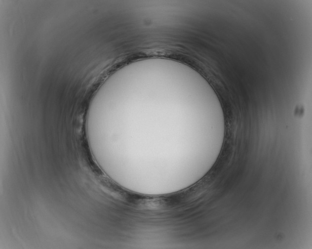X0000113130652200909040934