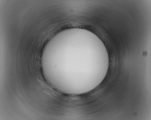 X0000113130653200909040934