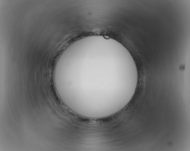 X0000113130656200909040934