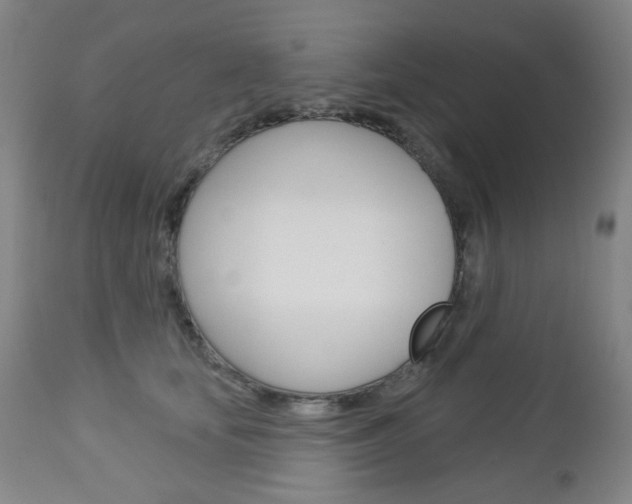 X0000113130659200909040934