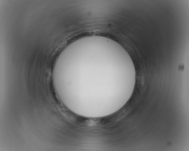 X0000113130660200909040934