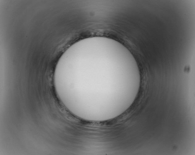 X0000113130661200909040934