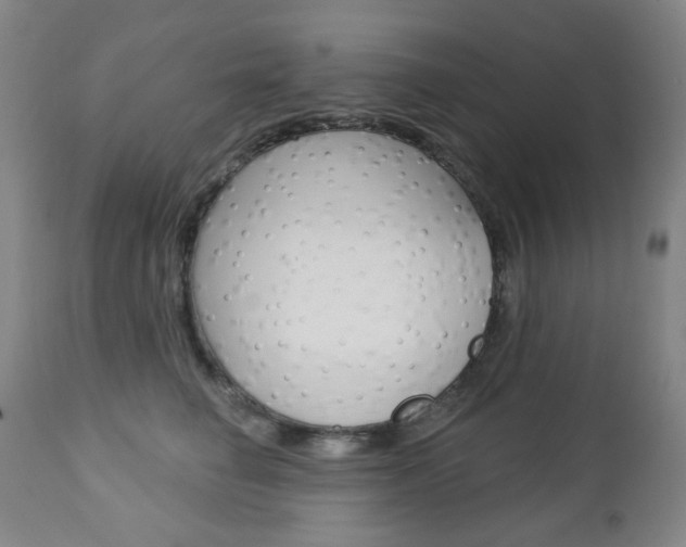 X0000113130662200909040934