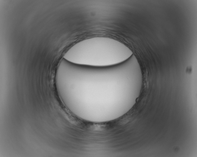 X0000113130664200909040934