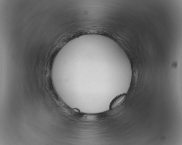 X0000113130665200909040934