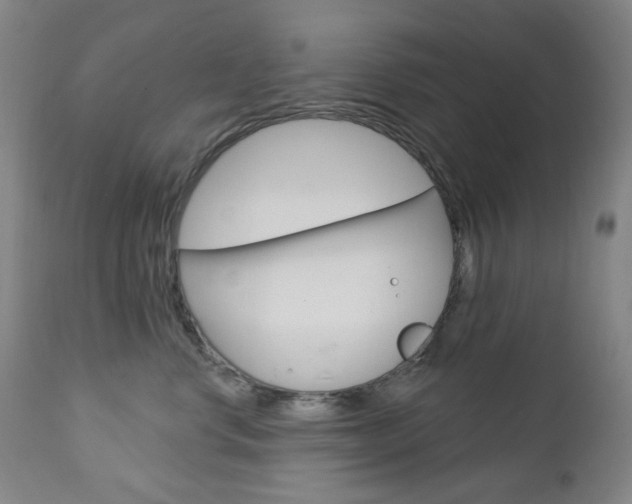 X0000113130668200909040934
