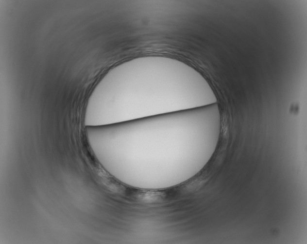 X0000113130670200909040934