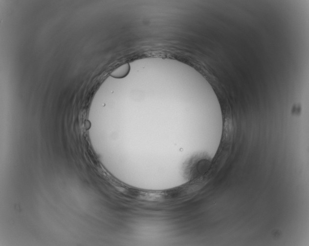 X0000113130671200909040934