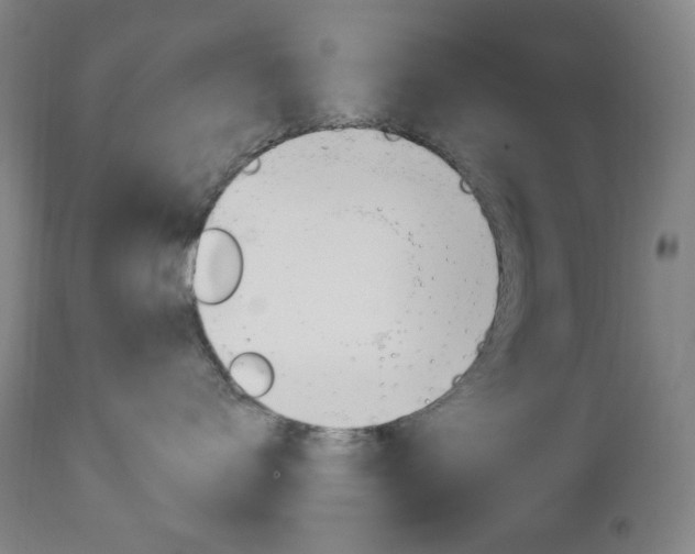 X0000113130672200909040934