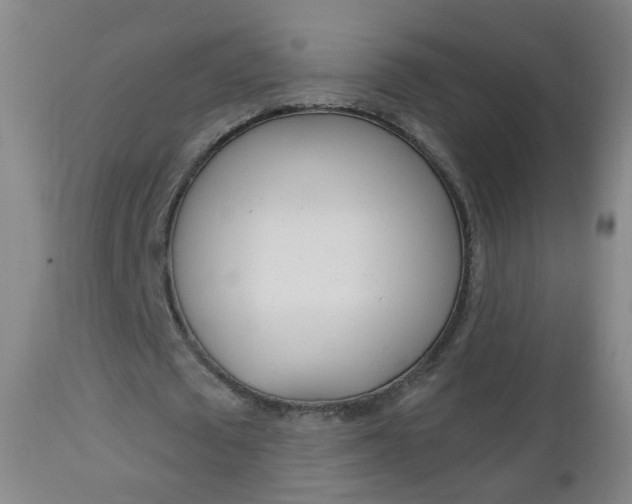 X0000113130673200909040933