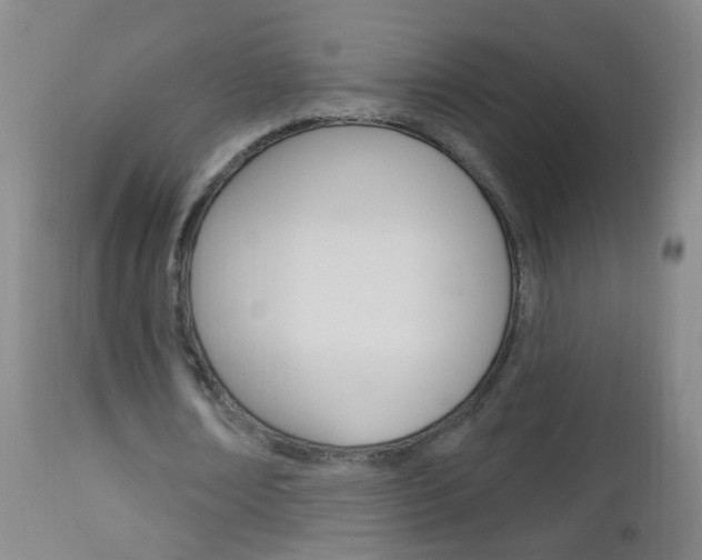 X0000113130674200909040933