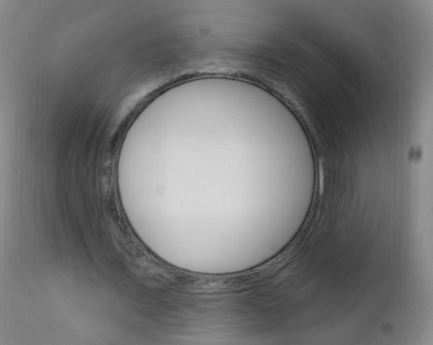 X0000113130675200909040933