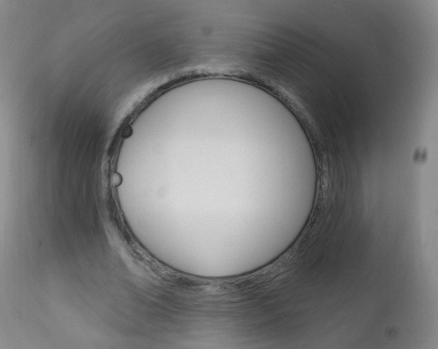 X0000113130678200909040933