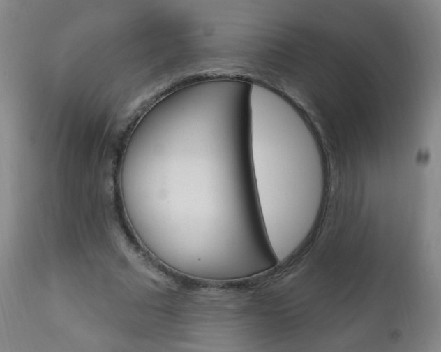 X0000113130681200909040933