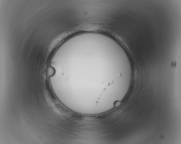 X0000113130682200909040933