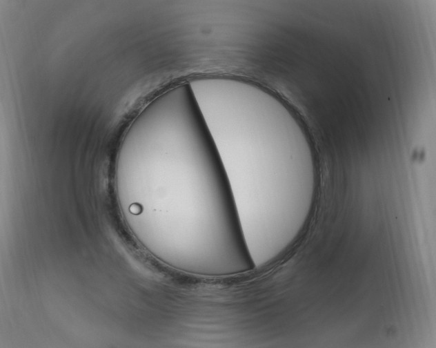 X0000113130685200909040933