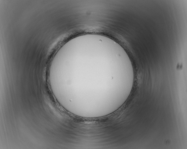 X0000113130686200909040933