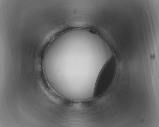X0000113130688200909040933