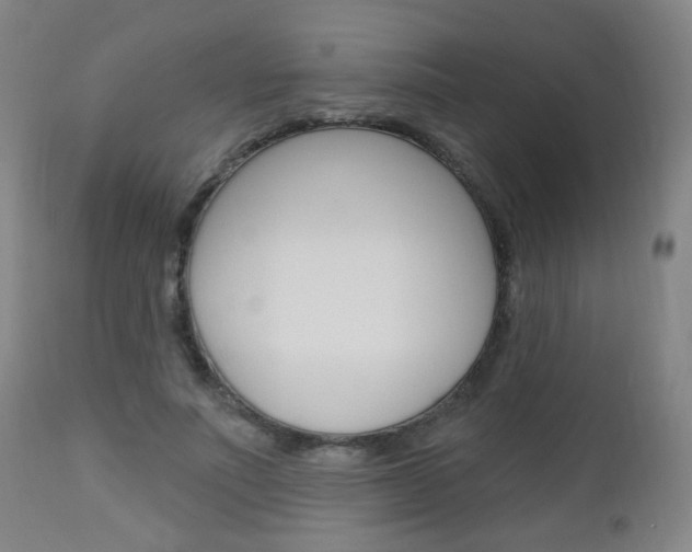 X0000113130691200909040933