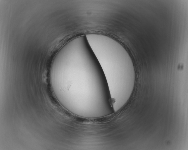 X0000113130693200909040933