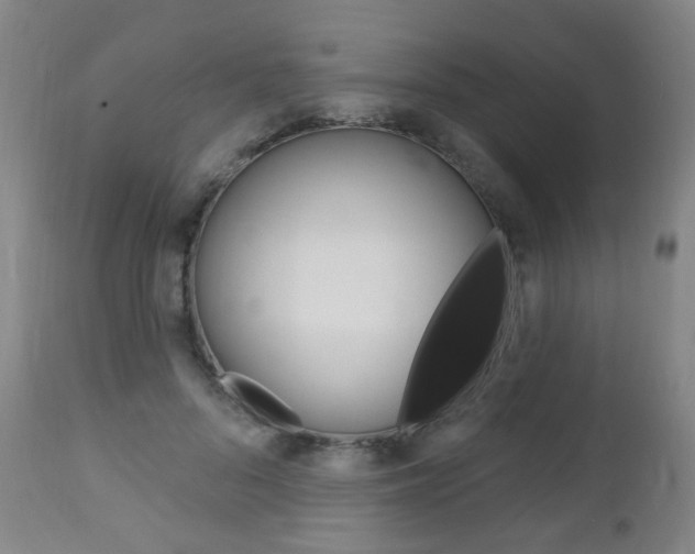 X0000113130696200909040933