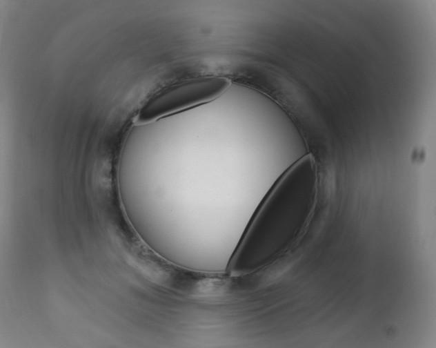 X0000113130700200909040933