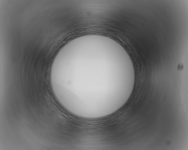 X0000113130701200909040933