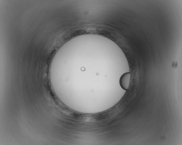X0000113130702200909040933