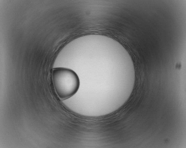 X0000113130705200909040933
