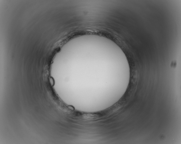X0000113130707200909040933