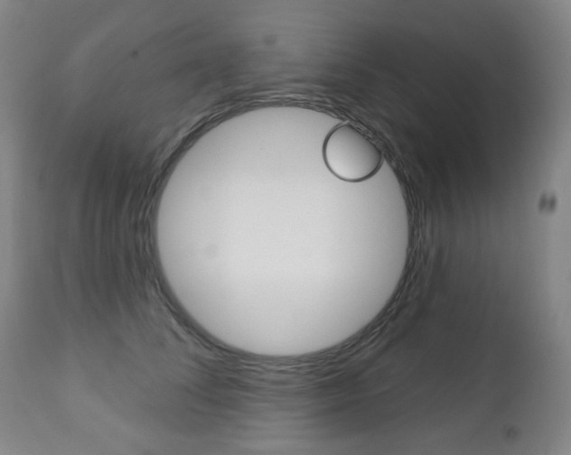 X0000113130708200909040933