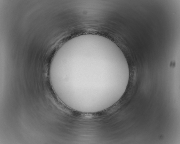 X0000113130710200909040933