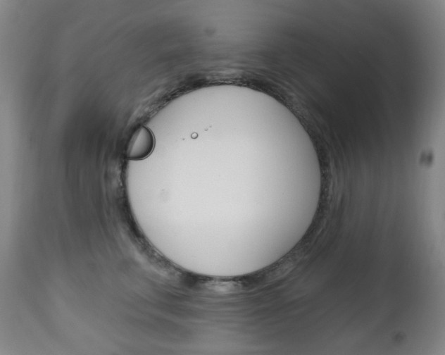 X0000113130711200909040933