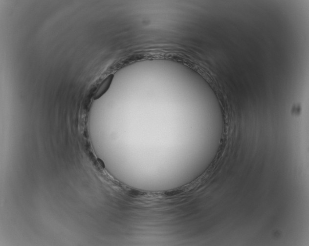 X0000113130712200909040933