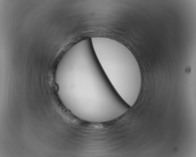 X0000113130715200909040933