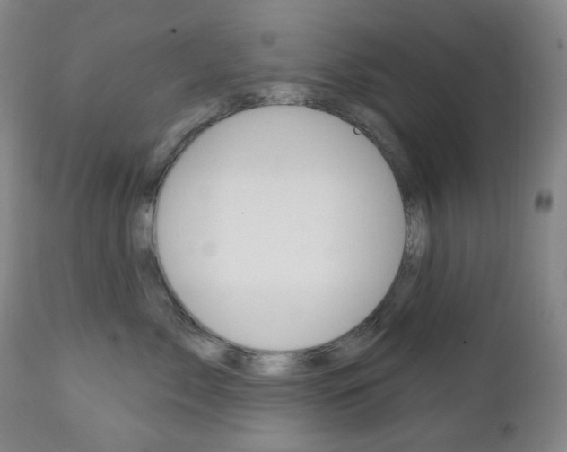 X0000113130717200909040933