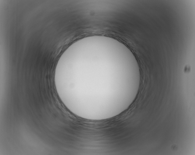 X0000113130720200909040933